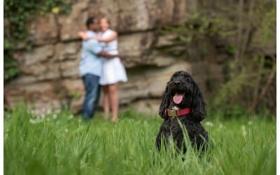 Kirsten and Danai’s Engagement Session