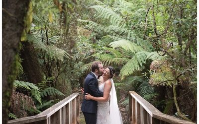 Celeste and Darren’s Lyrebird Falls Wedding