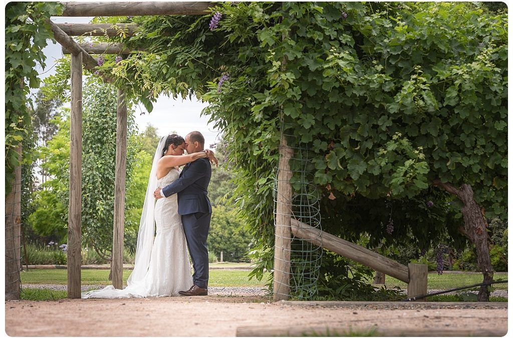 Lia and Geraldo’s Immerse Winery Wedding