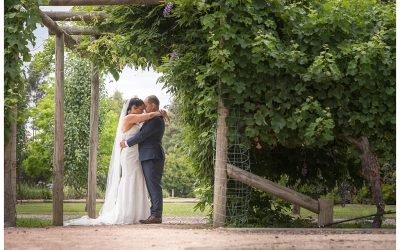 Lia and Geraldo’s Immerse Winery Wedding